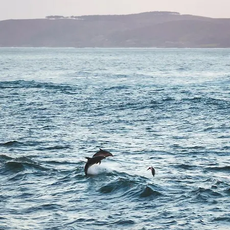 Casa Amplia Frente A La Playa * 坎巴多斯